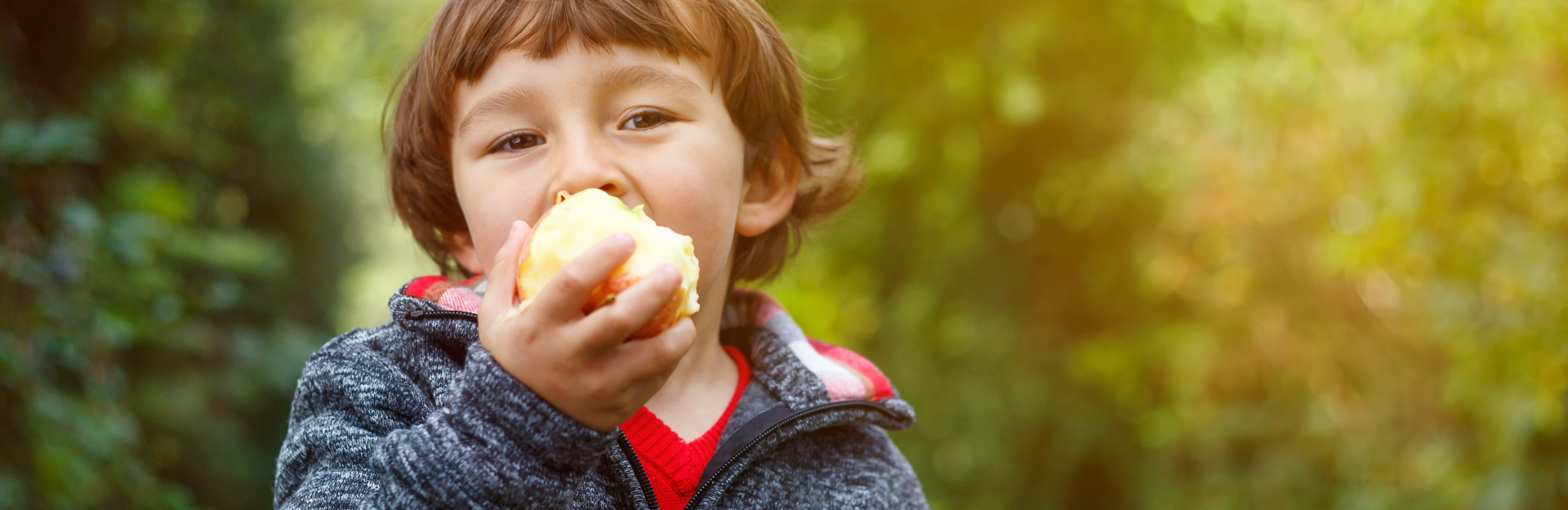 ¿Puede el excónyuge administrar la herencia que dejo a mis hijos?