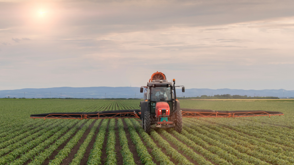 Ley que prorroga la rebaja del IVA de alimentos básicos