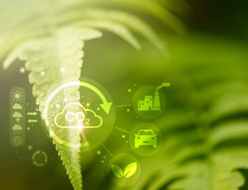 Obligaciones para las empresas en relación con la huella de carbono
