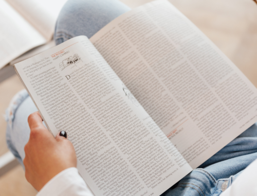 Artículo publicado en la revista Recorda del GIBAIX