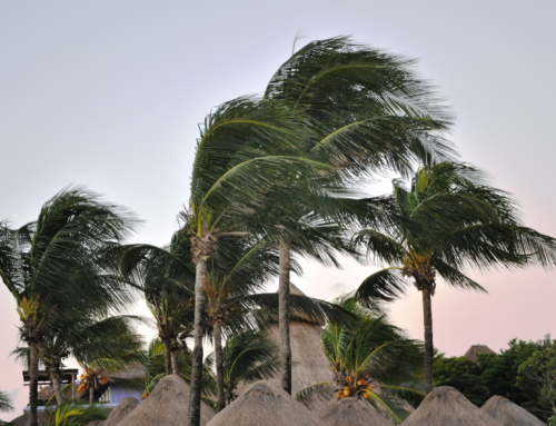 Reclamación por daños meteorológicos