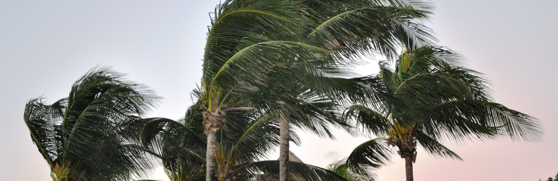 El cómputo del plazo de antelación incluye el día en que se remite la convocatoria, pero no el día en que se celebra la junta.
